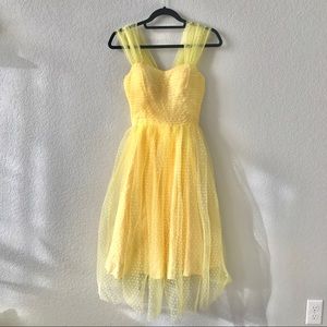 Unique Vintage Garden State Mesh Dress